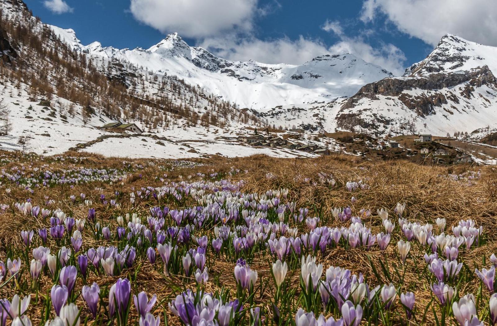 San Giuan, Ad Un Passo Dal Centro Lejlighed Chiavenna Eksteriør billede